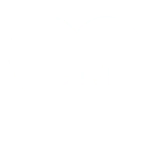 logo Le M
