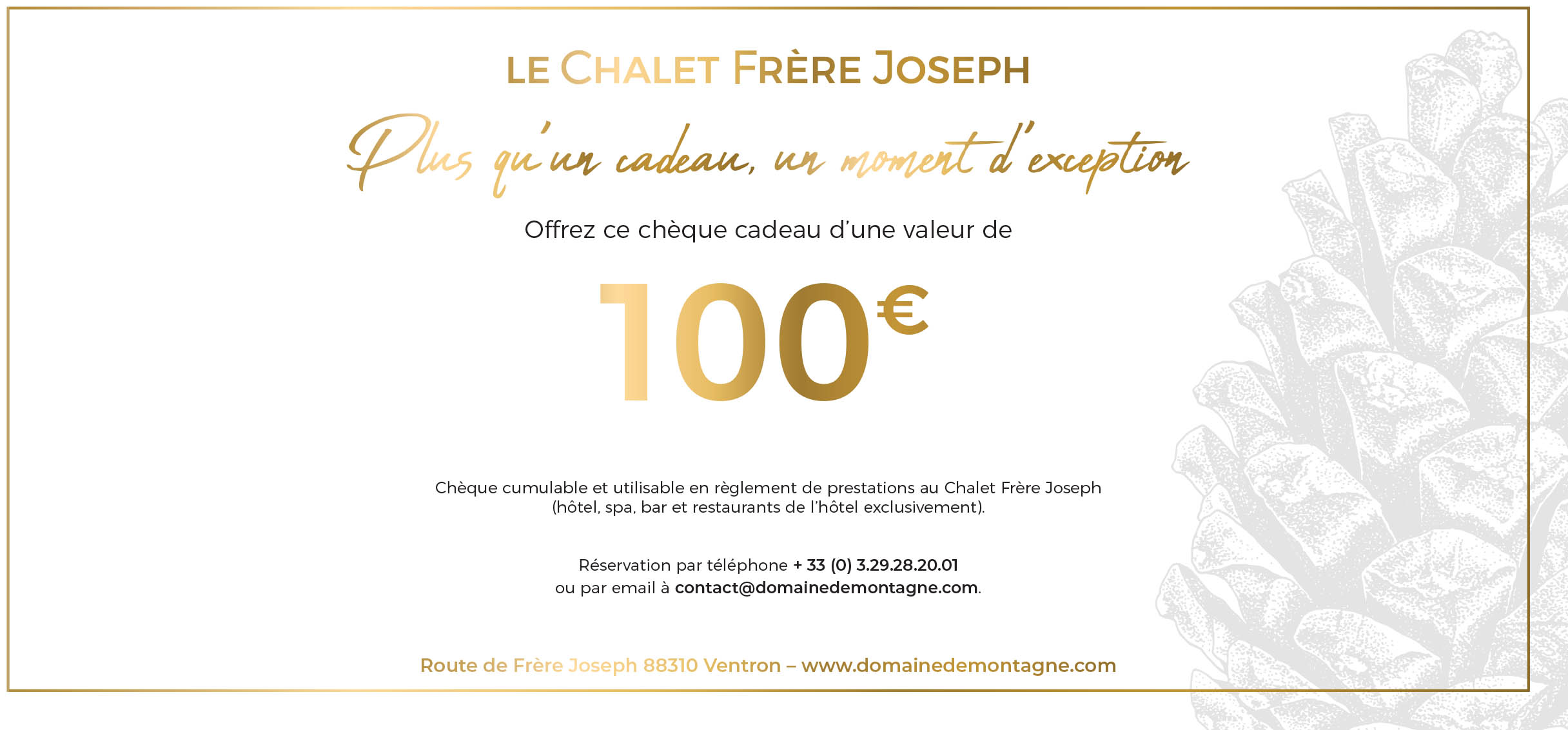 cheque-cadeau-100-EUR.jpg